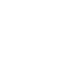 Nielsen Sports logo