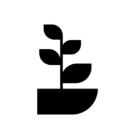 Bloomrank logo