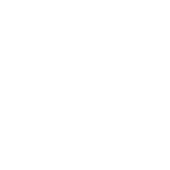 Codified logo