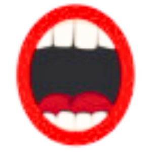 BigMouth Media Inc. logo