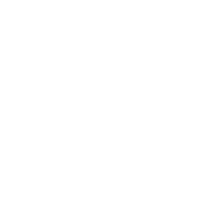 Point Innovation logo