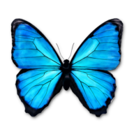 Creative Web Designs, LLC logo
