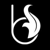 Blue Feenix logo