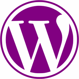 NOYO Web Development logo