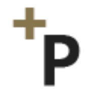 Process AG logo