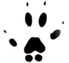 Small Mammal Advertising logo