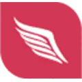 Logo Design Wing logo