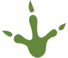 TRex Technologies LLC logo