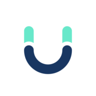 Burgi Technologies logo