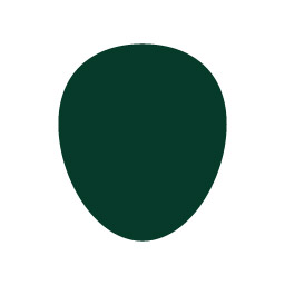 Strawberry Brand Studio logo