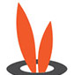 Alice Wonder Web Design Studio logo