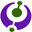 Paulinox Consulting logo