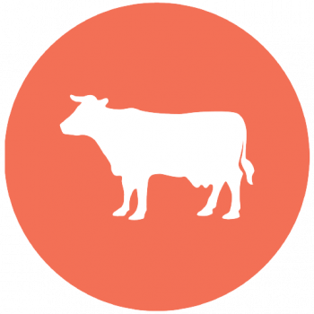 Tayloe/Gray logo