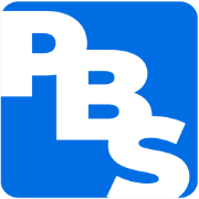 Pro Brain Solutions logo