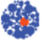 Carlton National Resources logo