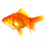 JustJump Marketing logo