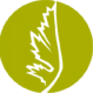 dezinsINTERACTIVE logo