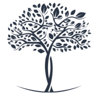 Peel Digital Consulting logo