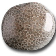 Petoskey Stone Media Inc. logo