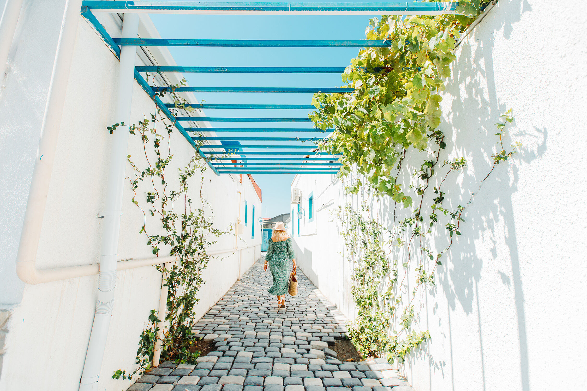 Baku: Botanical Garden & Bibi-Heybat Tour with Lunch