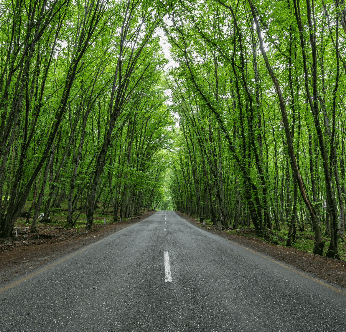 5 Nights / 6 Days Azerbaijan Tour  — photo 6