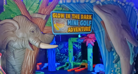 Sample Mini Golf & Fun Center photo 2