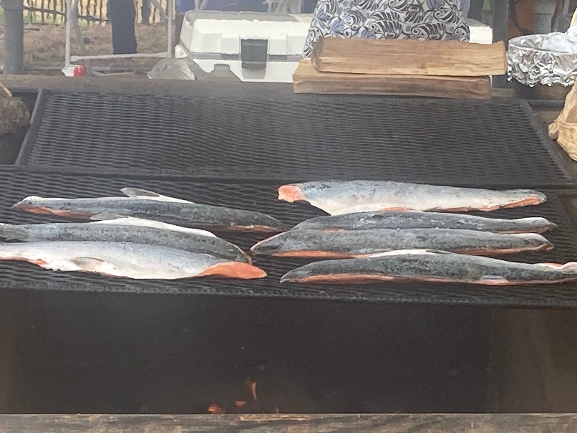 Salmon grilling in preparation for Powwow attendees.
