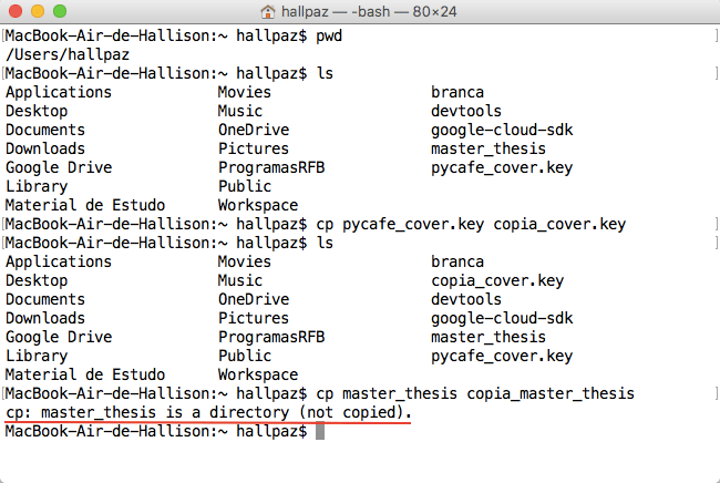Terminal de comando mostrando erro ao tentar copiar pasta