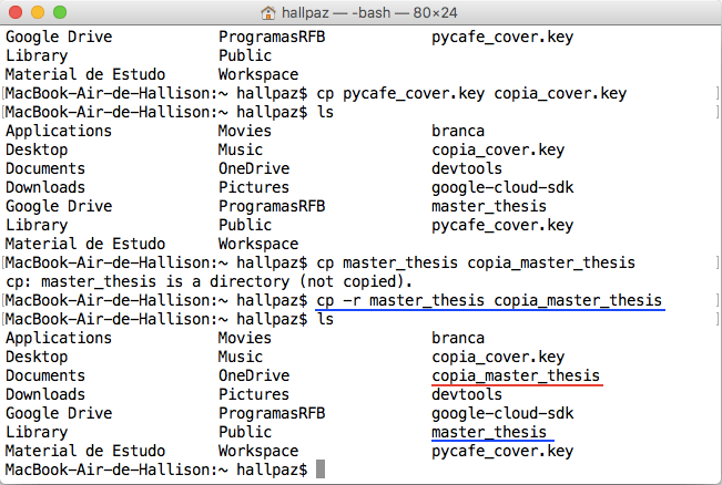 Terminal de comando mostrando a forma correta de se copiar uma pasta