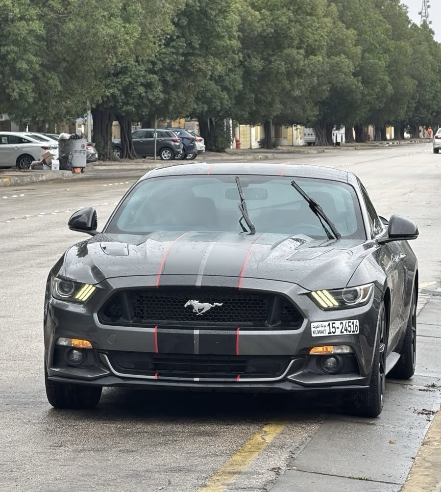 Mustang GT PREMIUM 5.0