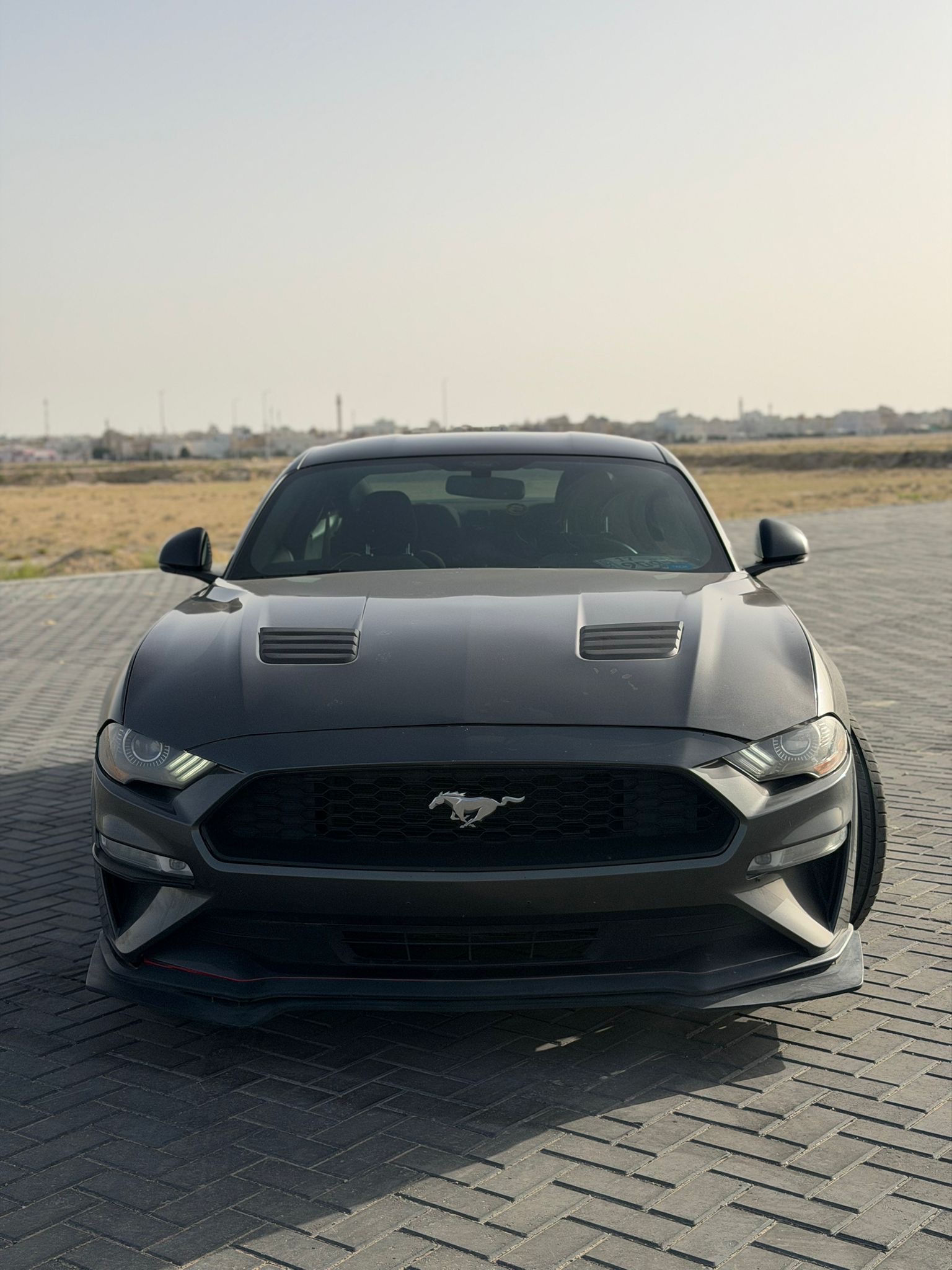Mustang GT 5.0