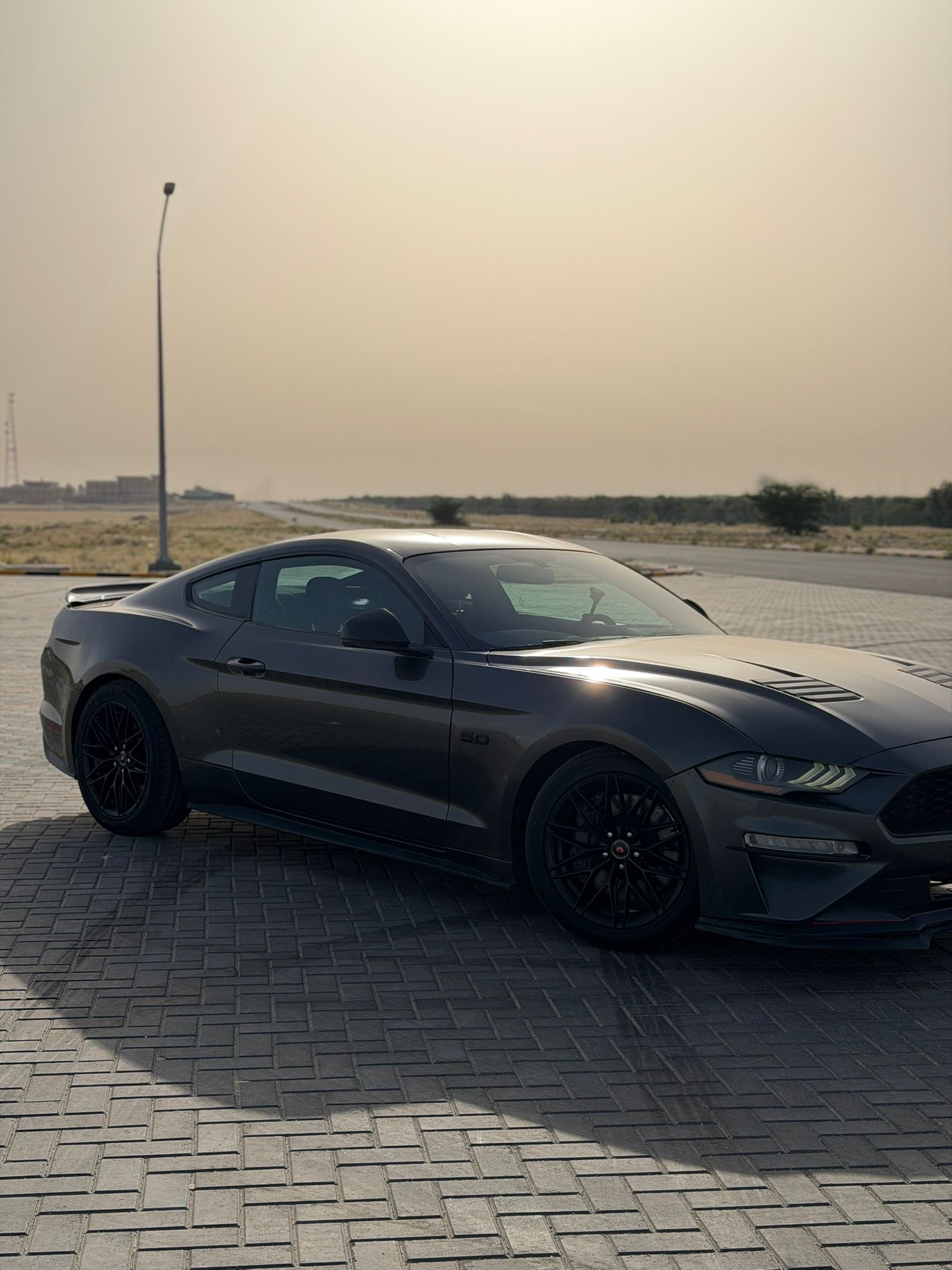 Mustang GT 5.0 3