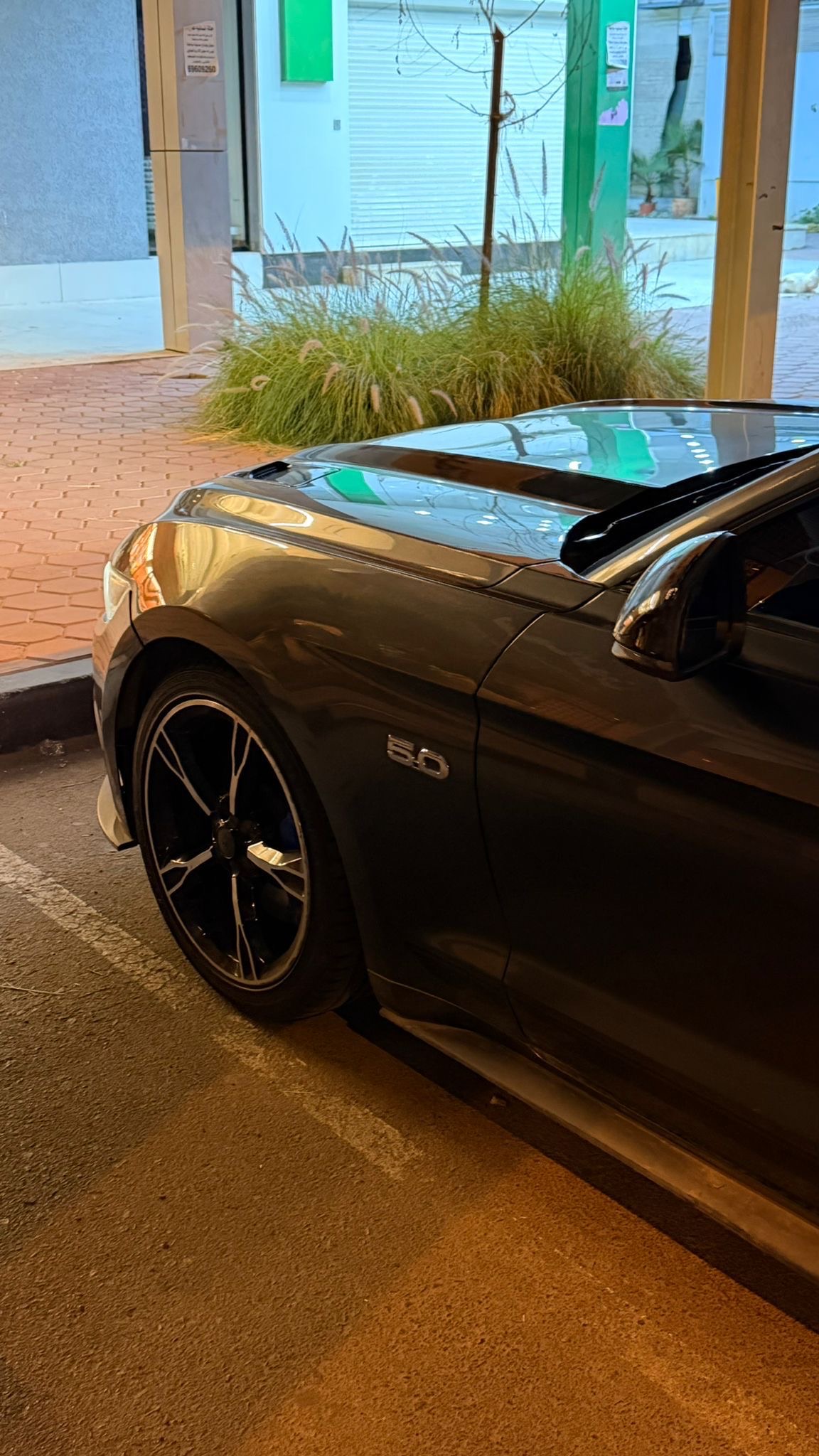 Mustang GT special california 3