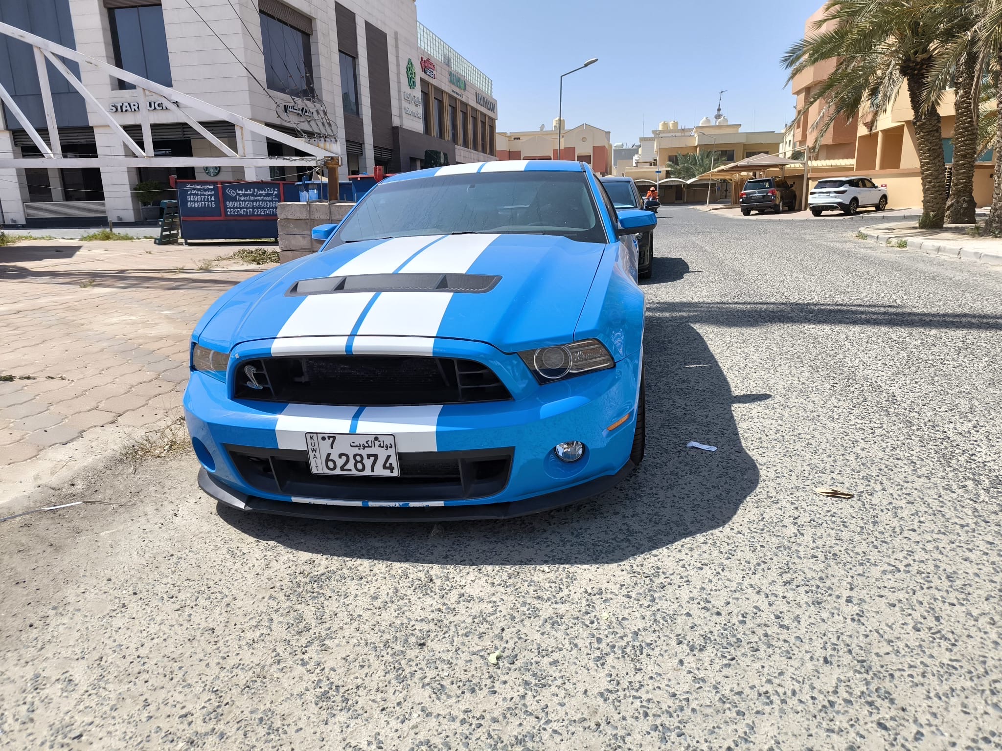mustang shelby