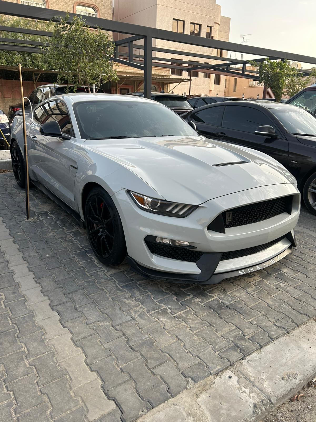 shelby