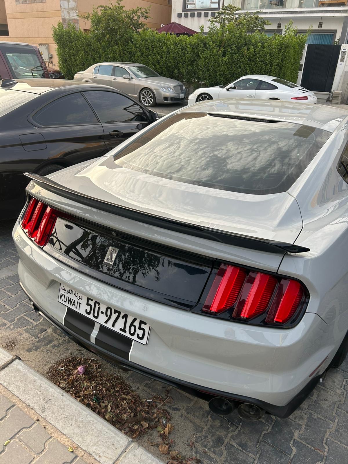 shelby 2