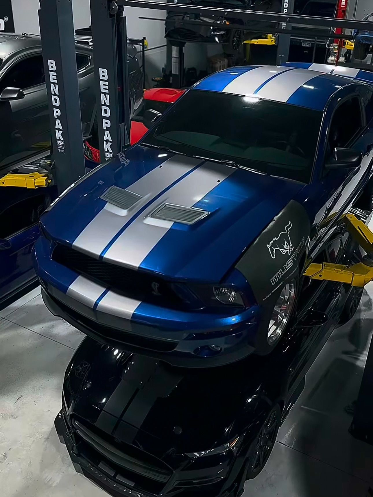 SHILBY GT 500 2