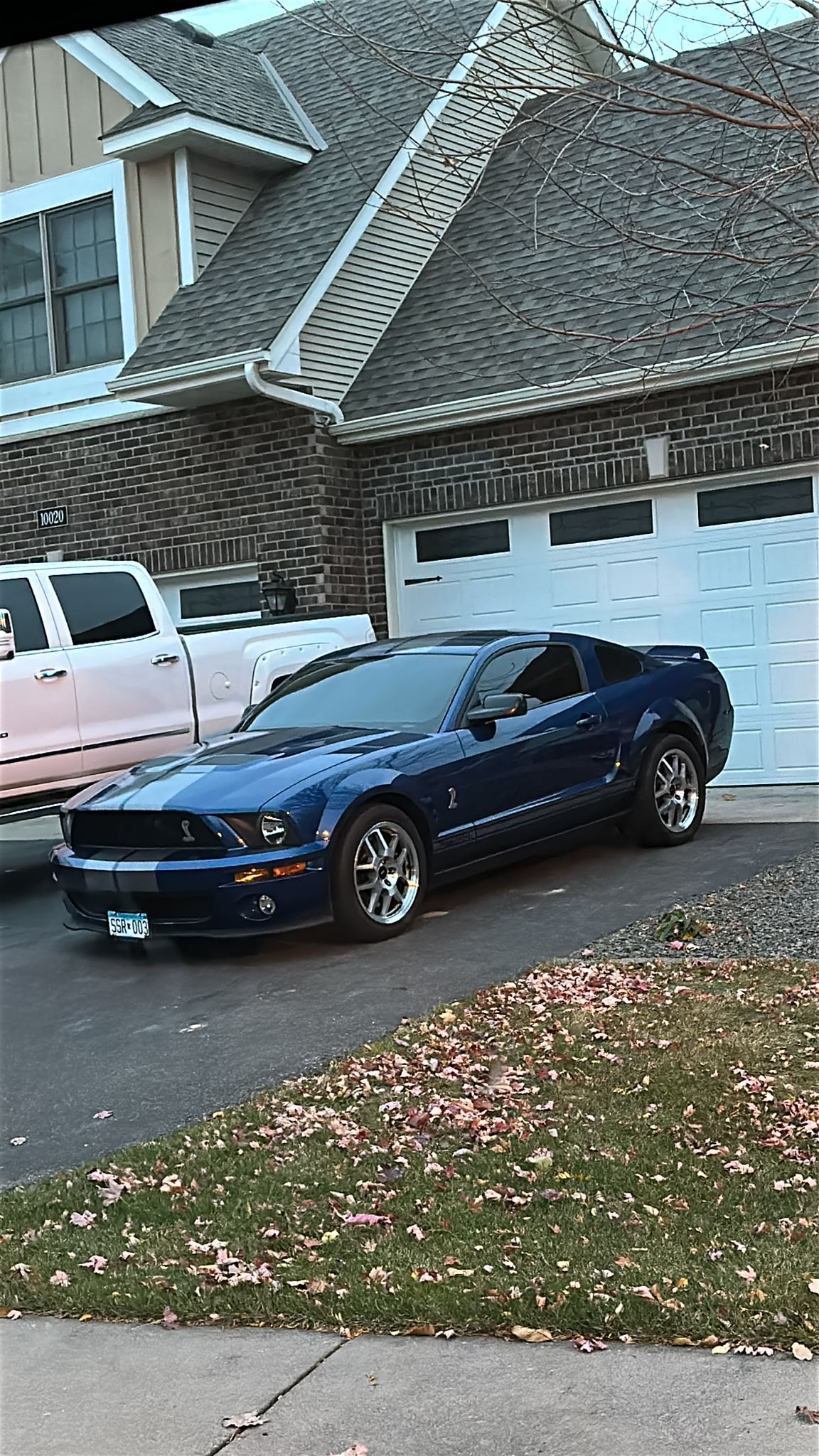 SHILBY GT 500 3