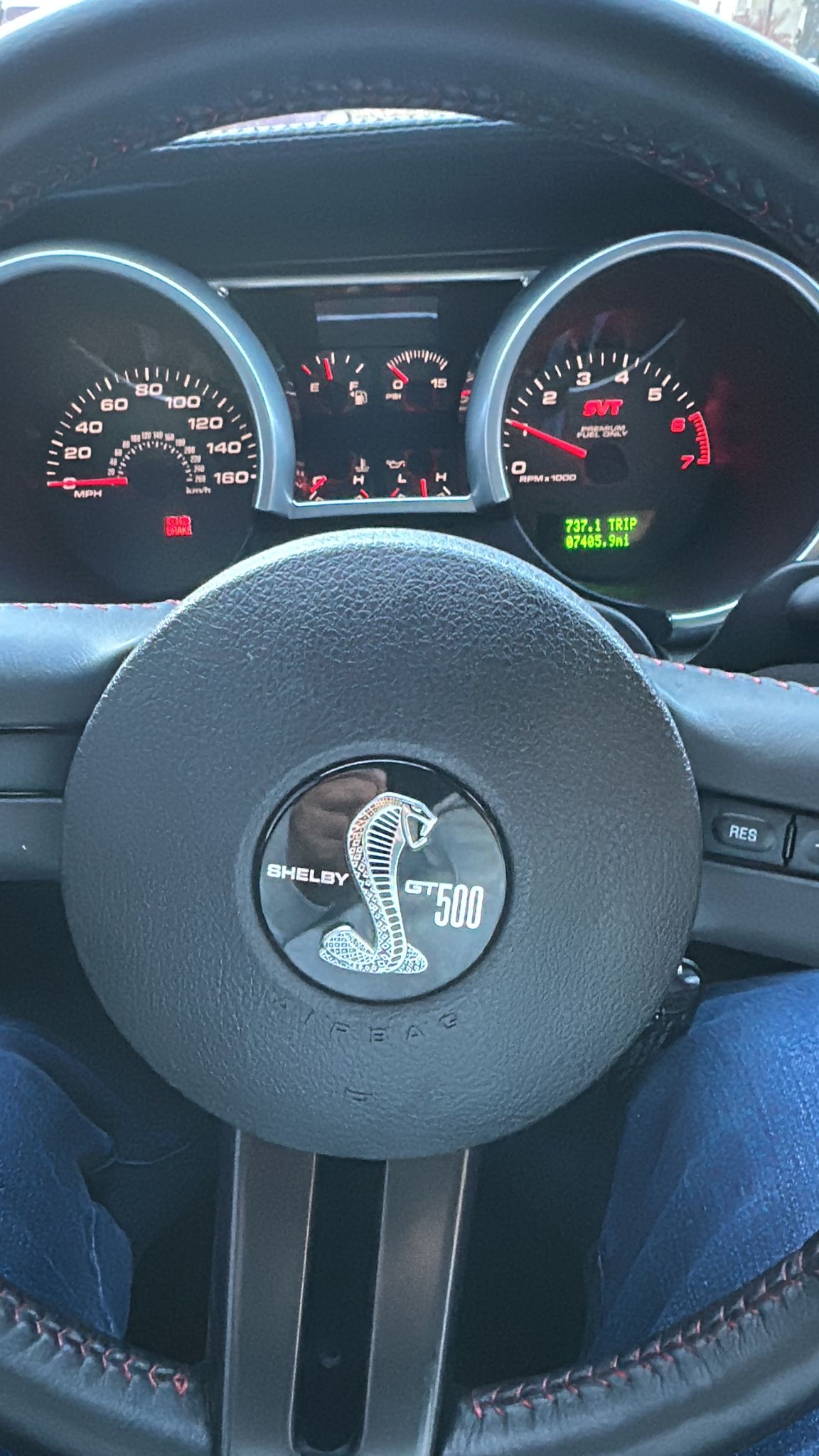 SHILBY GT 500 4
