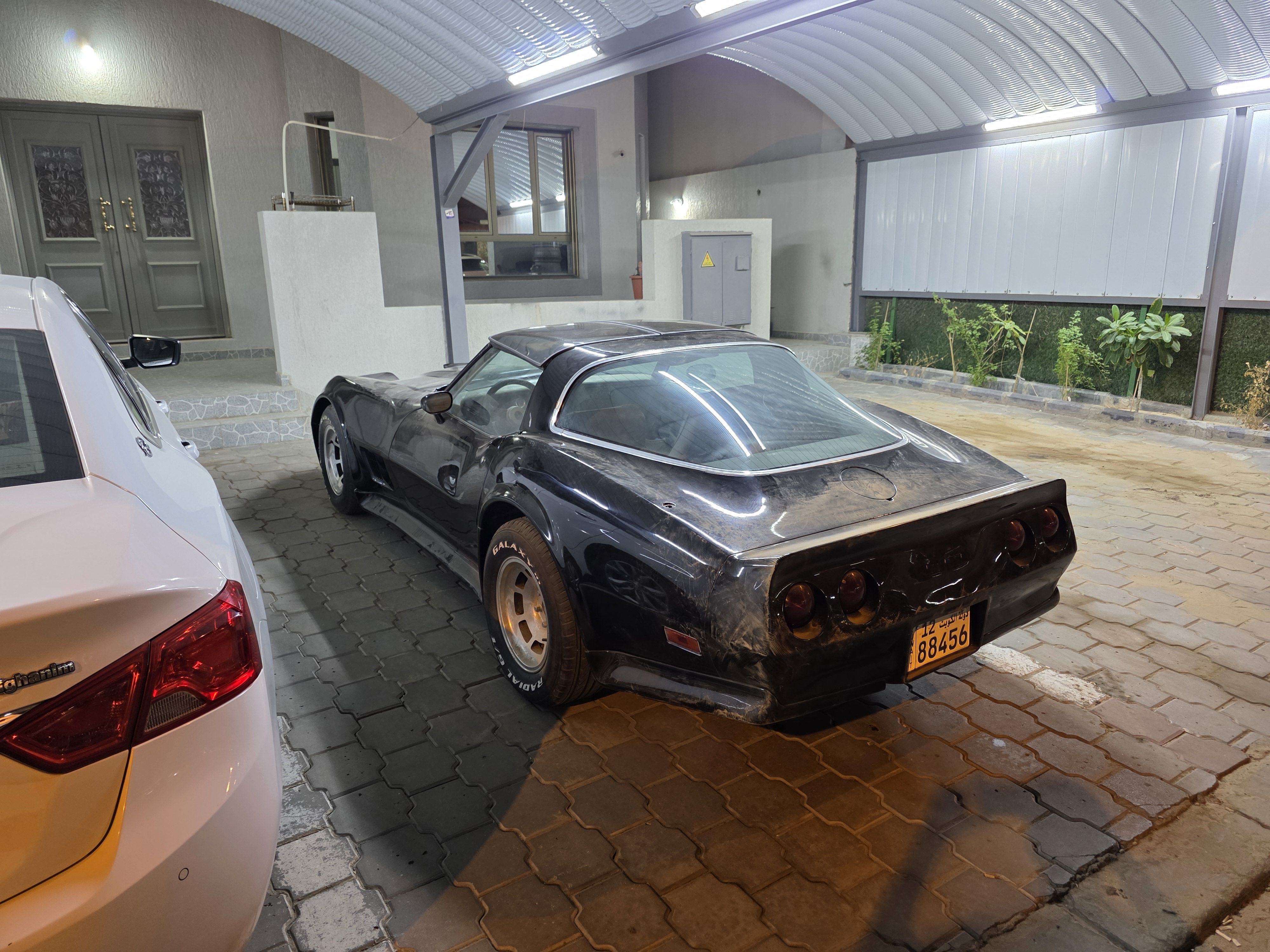 corvette 5