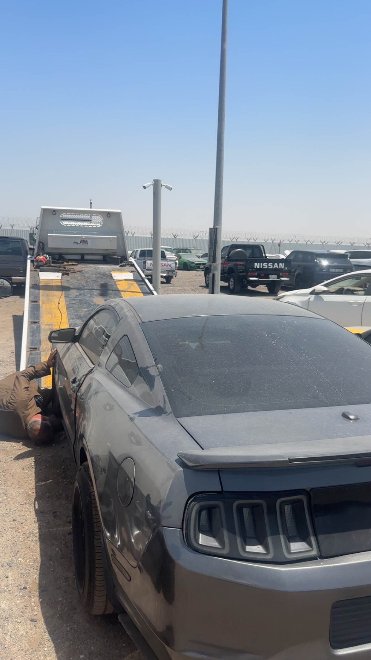 موستنق 5.0 2
