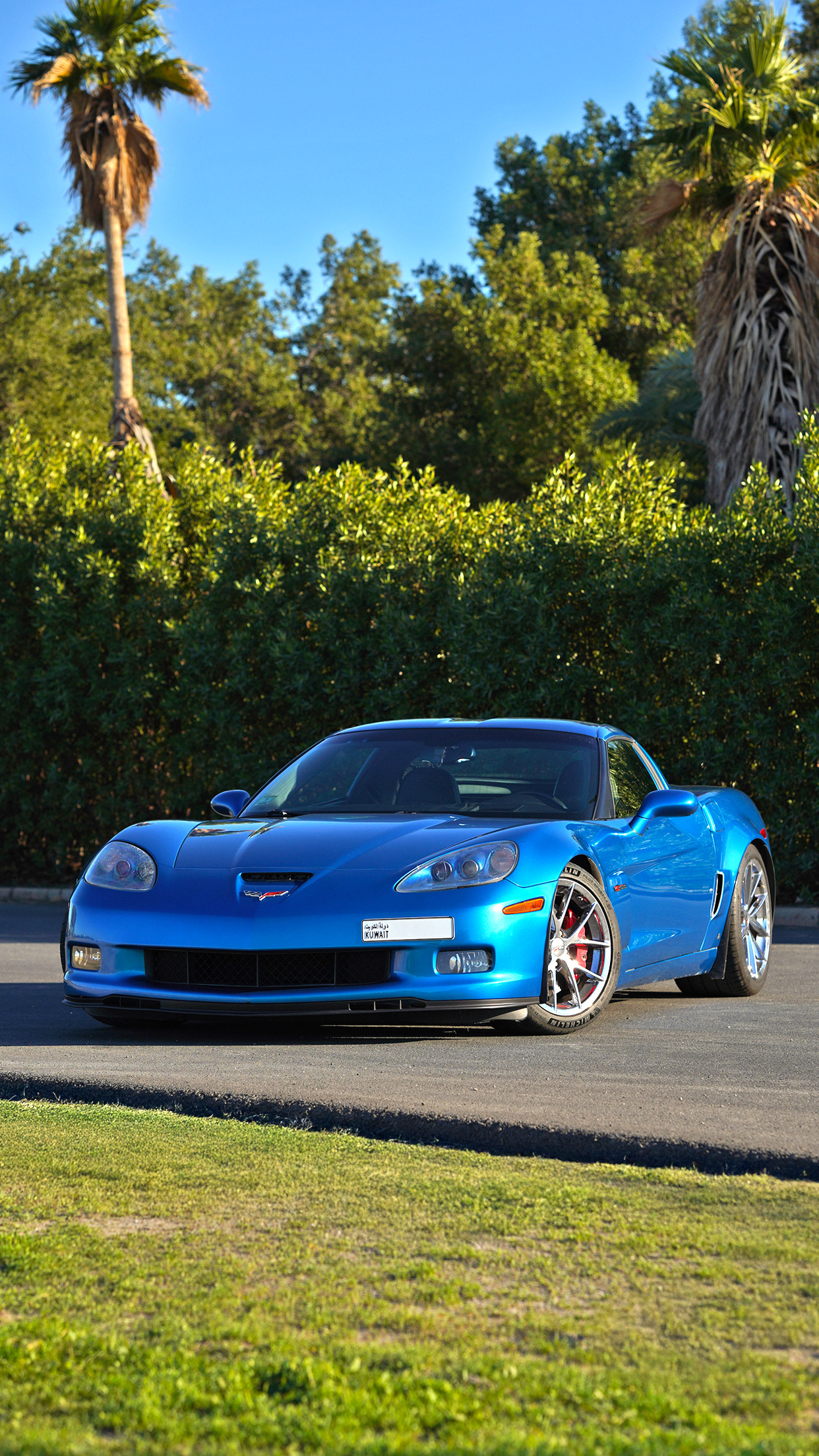 للبيع  c6zo6 2009 5