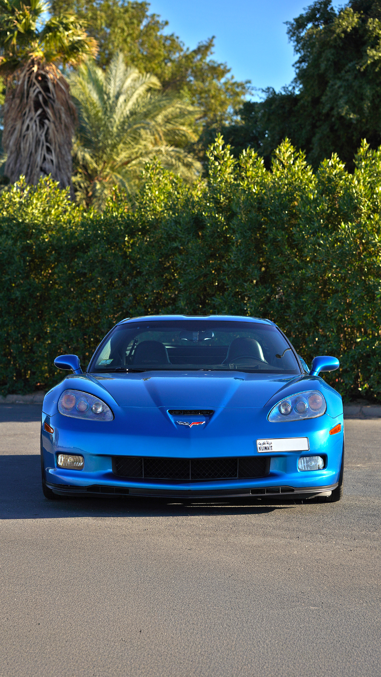 للبيع  c6zo6 2009 6