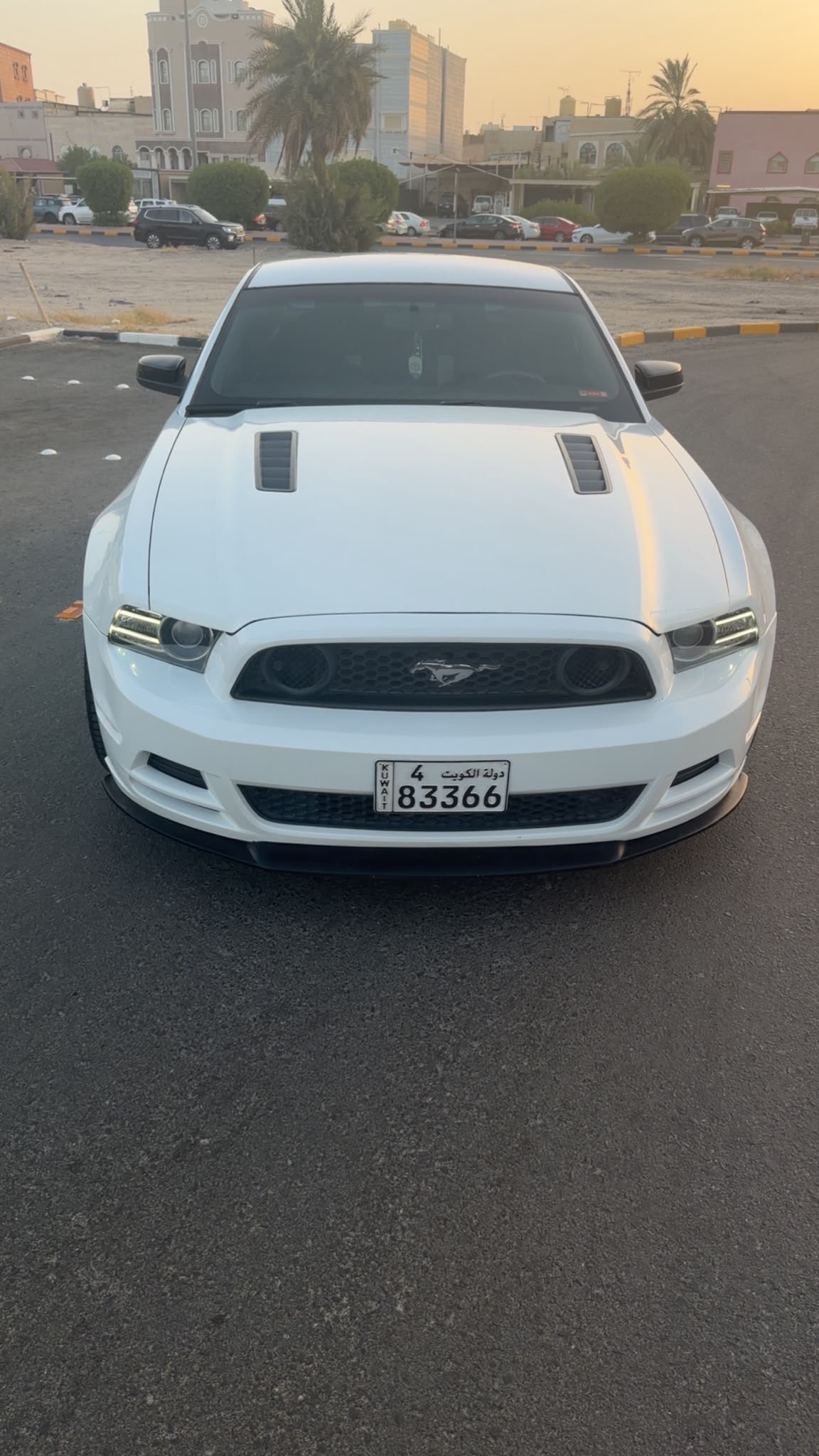 للبيع موستنق 3