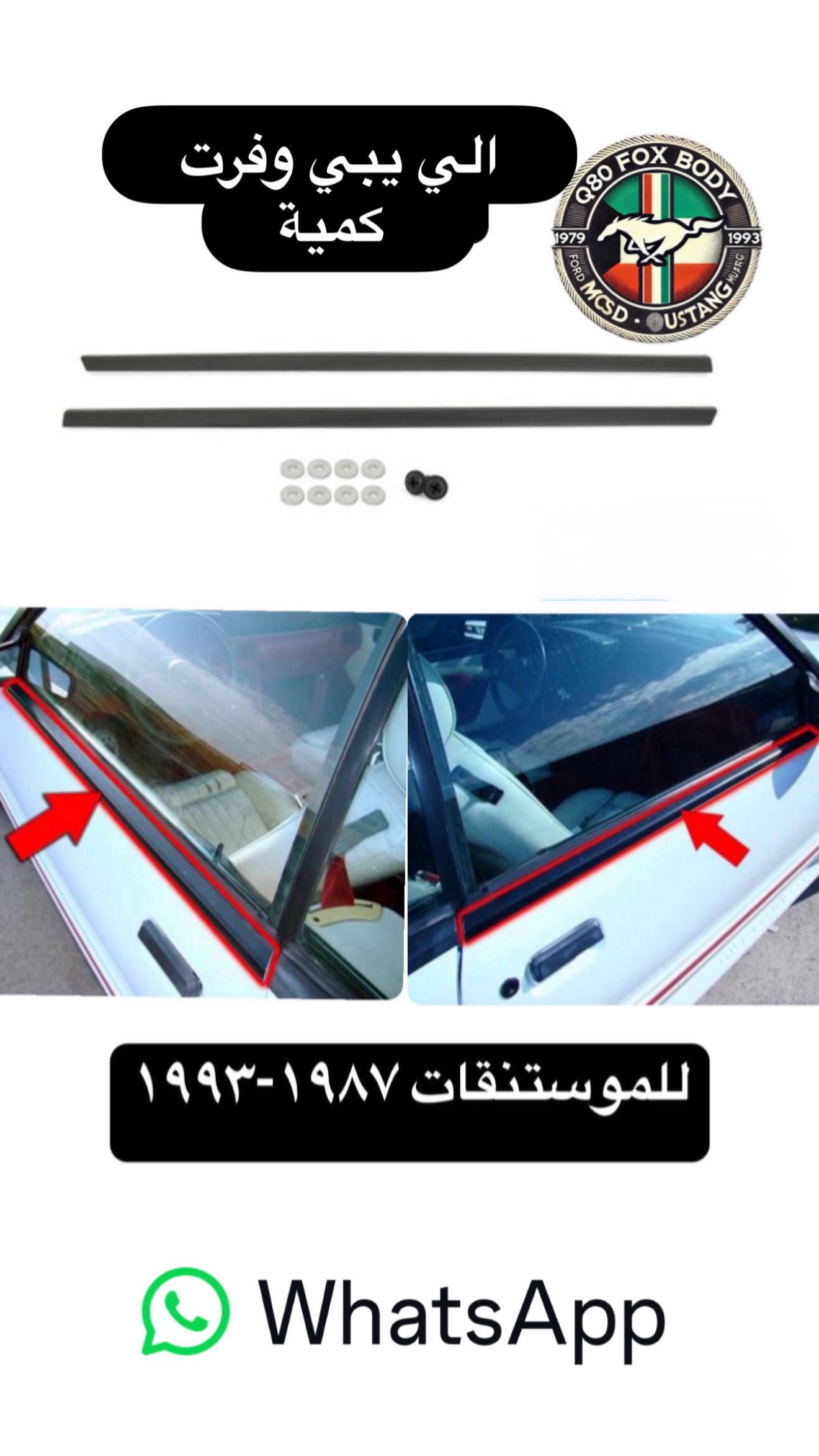 مصاطر البيبان الخارجية للموستنقات ١٩٨٧-١٩٩٣