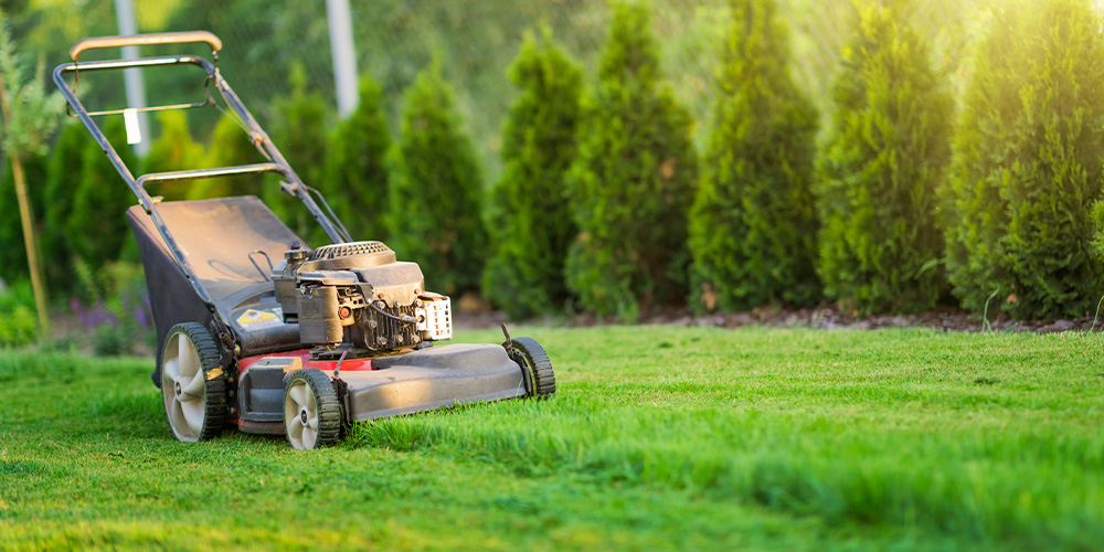  A Comprehensive Guide to Lawn Care
