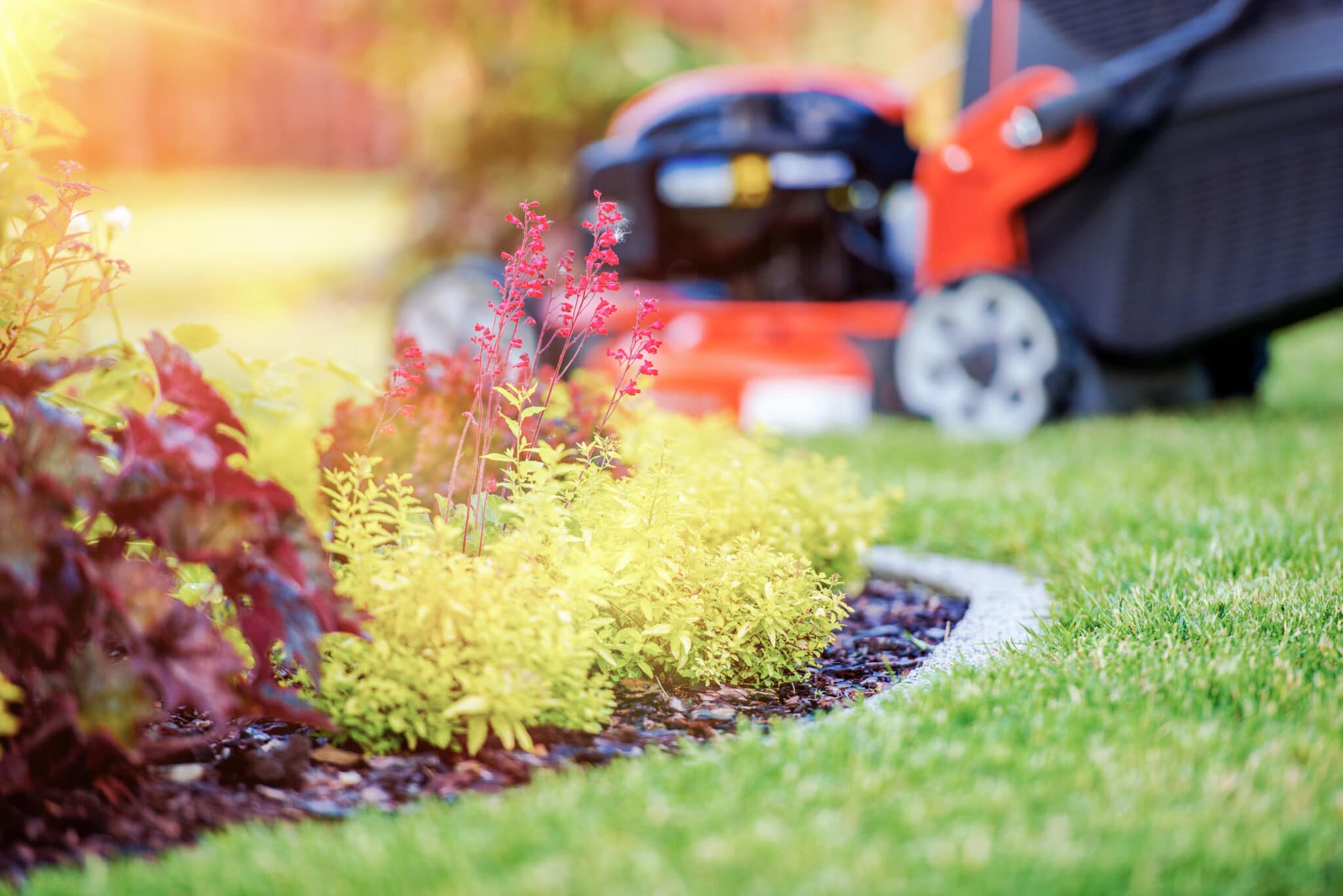 Enhancing Lawns in Mineola