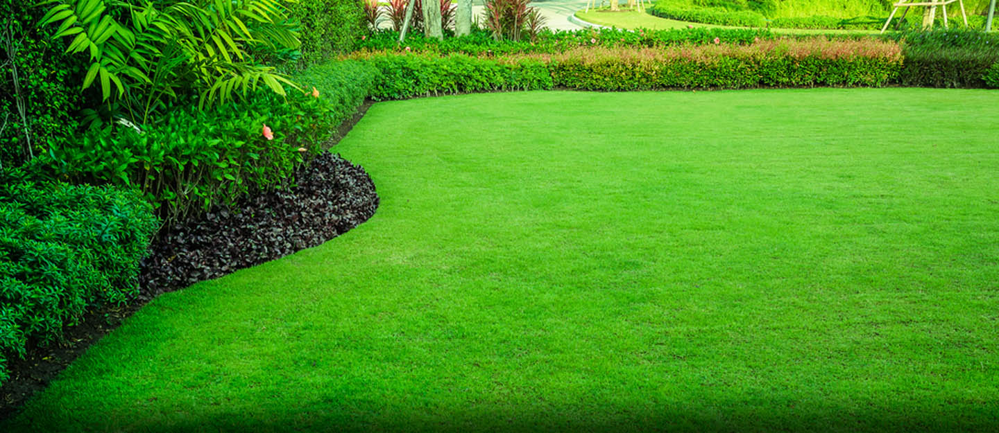 Lawn Maintenance For Homeowners