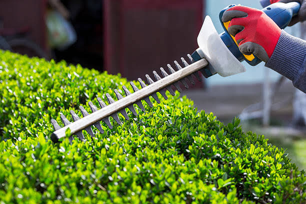 Grass Edging Services Nassau County