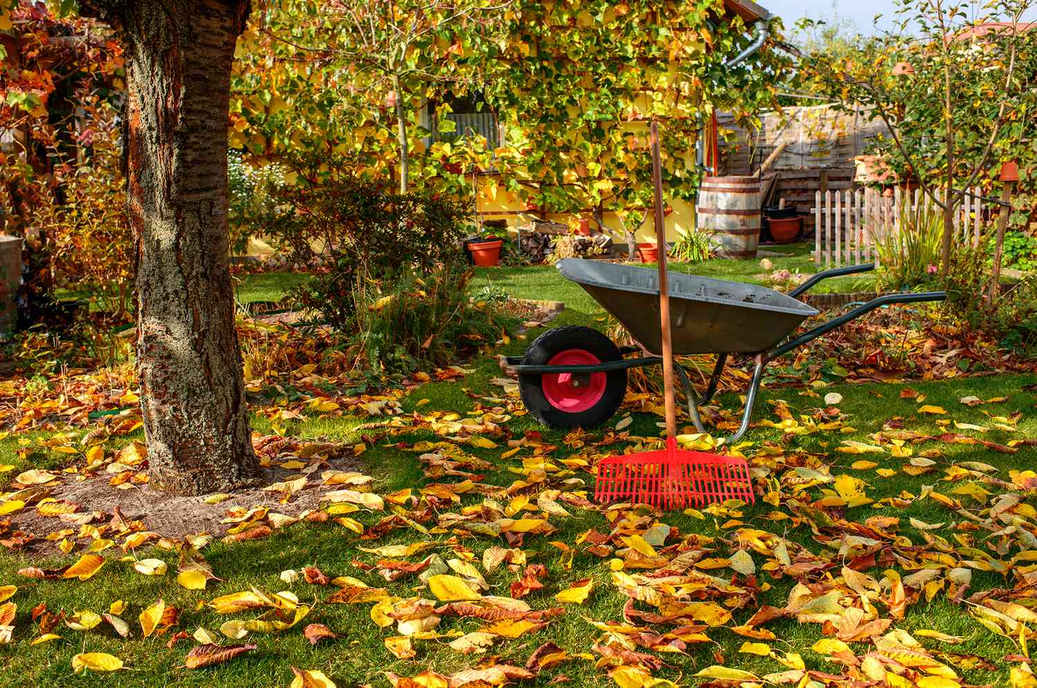 Fall Lawn Care Tips